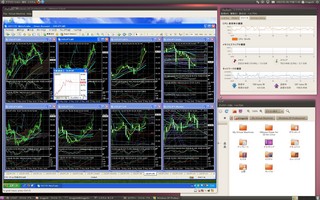 20100528_Ubuntu_VMwarePlayer_MT4.jpg