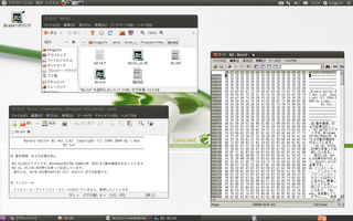 Ubuntu 11 04 で Wine を使ってバイナリエディタの Bz を実行 パソコン Fxなどに関する日記