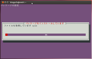 2012-03-28_WP_Ubuntu_11.png