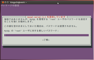 2012-03-28_WP_Ubuntu_12.png