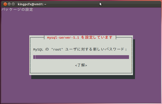 2012-03-28_WP_Ubuntu_13.png
