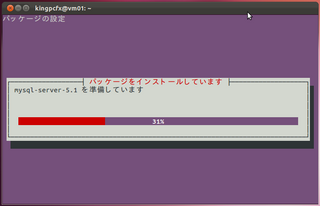2012-03-28_WP_Ubuntu_14.png