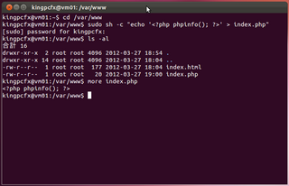 2012-03-28_WP_Ubuntu_20.png