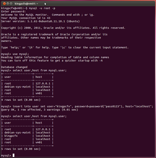2012-03-28_WP_Ubuntu_22.png