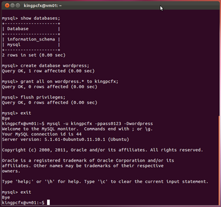 2012-03-28_WP_Ubuntu_23.png