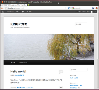 2012-03-28_WP_Ubuntu_47.png
