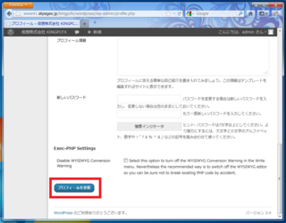 2012-06-19_WordPress_10.png