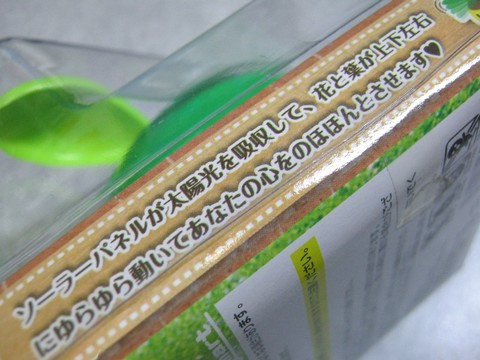 2012-12-17_YuRax2_Flower_03.JPG