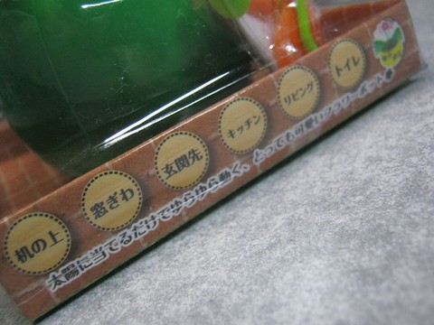 2012-12-17_YuRax2_Flower_05.JPG