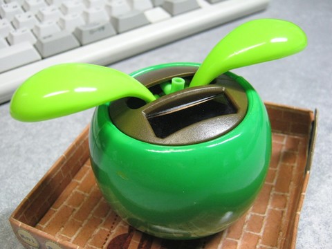 2012-12-17_YuRax2_Flower_07.JPG