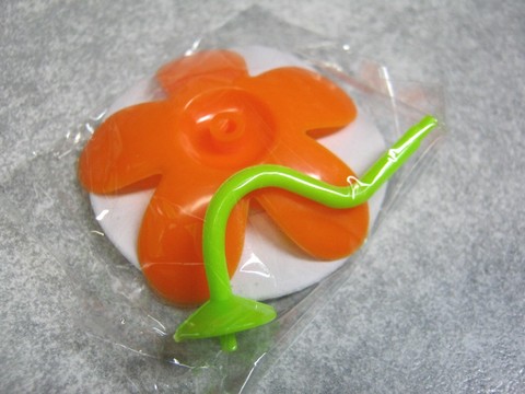 2012-12-17_YuRax2_Flower_11.JPG