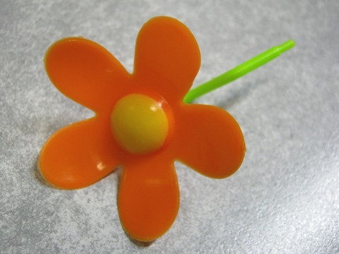 2012-12-17_YuRax2_Flower_15.JPG