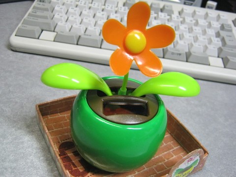 2012-12-17_YuRax2_Flower_17.JPG