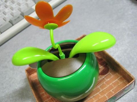 2012-12-17_YuRax2_Flower_19.JPG
