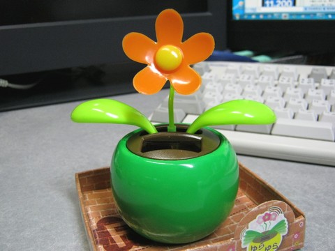 2012-12-17_YuRax2_Flower_20.JPG