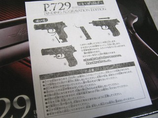 2013-02-02_BB_HAND_GUN_P729_11.JPG